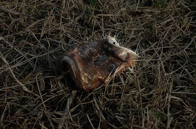 20080305205159-lata-draganizer.jpg